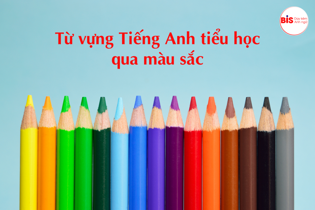 4 2 1200x800 - Tổng Hợp Từ Vựng Tiếng Anh Tiểu Học Theo Chủ Đề (Từ lớp 1 - lớp 5)